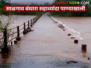 हिरण्यकेशी, चित्रीचे पाणी पात्राबाहेर; मुसळधार पावसामुळे साळगाव बंधारा सहाव्यांदा गेला पाण्याखाली - Marathi News | Water in Hiranyakeshi, Chitri overflows; Salgaon dam goes under water for the sixth time due to heavy rains | Latest News at Lokmat.com हिरण्यकेशी, चित्रीचे पाणी पात्राबाहेर; मुसळधार पावसामुळे साळगाव बंधारा सहाव्यांदा गेला पाण्याखाली - Marathi News | Water in Hiranyakeshi, Chitri overflows; Salgaon dam goes under water for the sixth time due to heavy rains | Latest News at Lokmat.com