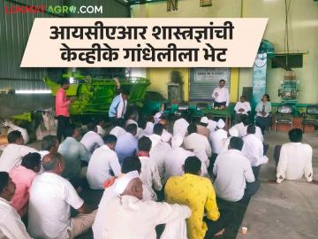 प्रगतीशील शेतकऱ्यांच्या मुलाने उद्योजक व्हावे; आयसीएआर वरिष्ठ शास्त्रज्ञ डॉ. राजीव काळे यांचे आवाहन - Marathi News | The son of a progressive farmer becomes an entrepreneur; ICAR Senior Scientist Dr. Appeal by Rajeev Kale | Latest News at Lokmat.com प्रगतीशील शेतकऱ्यांच्या मुलाने उद्योजक व्हावे; आयसीएआर वरिष्ठ शास्त्रज्ञ डॉ. राजीव काळे यांचे आवाहन - Marathi News | The son of a progressive farmer becomes an entrepreneur; ICAR Senior Scientist Dr. Appeal by Rajeev Kale | Latest News at Lokmat.com