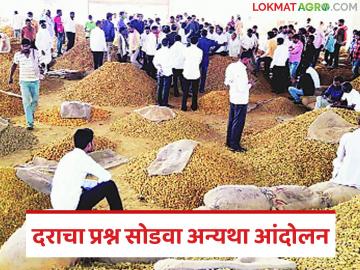 वायदे बाजारापेक्षा हळदीला २ हजारांनी कमी भाव; स्वाभिमानी शेतकरी संघटनेचा आंदोलनाचा इशारा - Marathi News | Turmeric price 2 thousand less than futures market; Swabhimani Shetkari Sanghatana warns of agitation | Latest News at Lokmat.com वायदे बाजारापेक्षा हळदीला २ हजारांनी कमी भाव; स्वाभिमानी शेतकरी संघटनेचा आंदोलनाचा इशारा - Marathi News | Turmeric price 2 thousand less than futures market; Swabhimani Shetkari Sanghatana warns of agitation | Latest News at Lokmat.com