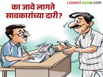 विदर्भ आणि मराठवाड्यात का करताहेत दोन दशकांपासून हजारो शेतकरी आत्महत्या? - Marathi News | Why have thousands of farmers in Vidarbha and Marathwada been committing suicide for two decades? | Latest News at Lokmat.com