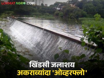 धानाची शेती पाण्याखाली येण्याची शक्यता; ब्रिटिशकालीन खिंडसी जलाशय अकराव्यांदा 'ओव्हरफ्लो' - Marathi News | Paddy fields likely to be submerged; British-era Khindsi reservoir overflows for the eleventh time | Latest News at Lokmat.com धानाची शेती पाण्याखाली येण्याची शक्यता; ब्रिटिशकालीन खिंडसी जलाशय अकराव्यांदा 'ओव्हरफ्लो' - Marathi News | Paddy fields likely to be submerged; British-era Khindsi reservoir overflows for the eleventh time | Latest News at Lokmat.com