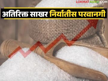 केंद्र सरकारकडून अतिरिक्त पाच लाख टन साखर निर्यातीला परवानगी; दर स्थिरावण्यास होणार मदत - Marathi News | Central government allows export of additional five lakh tonnes of sugar; will help stabilize prices | Latest News at Lokmat.com