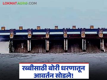 रब्बी हंगामासाठी बोरी धरणातून आवर्तन सुटल्याने शेतीला दिलासा; यंदा शेतीसाठी राहणार तीन आवर्तने - Marathi News | Relief for agriculture as water from Bori Dam is released for the Rabi season; This year, there will be three water cycles for agriculture | Latest News at Lokmat.com रब्बी हंगामासाठी बोरी धरणातून आवर्तन सुटल्याने शेतीला दिलासा; यंदा शेतीसाठी राहणार तीन आवर्तने - Marathi News | Relief for agriculture as water from Bori Dam is released for the Rabi season; This year, there will be three water cycles for agriculture | Latest News at Lokmat.com