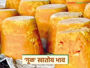 साखरेपेक्षा गूळ महाग, लाल मिरचीसह गरम मसाला तेजीत; ज्वारी, तूर, सोयाबीन, खाद्यतेलासह शेंगदाण्यामध्ये मात्र मंदी - Marathi News | Jaggery is more expensive than sugar, red chilli and garam masala are on the rise; however, there is a slowdown in the prices of jowar, tur, soybean, edible oil and groundnuts. | Latest News at Lokmat.com