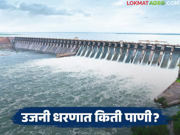 उजनी धरणाची पाणी पातळी १९ टक्के झाली कमी; वाचा सविस्तर, सध्या उजनी धरणात किती पाणी? - Marathi News | The water level of Ujani Dam has decreased by 19 percent; Read in detail, how much water is in Ujani Dam currently? | Latest News at Lokmat.com उजनी धरणाची पाणी पातळी १९ टक्के झाली कमी; वाचा सविस्तर, सध्या उजनी धरणात किती पाणी? - Marathi News | The water level of Ujani Dam has decreased by 19 percent; Read in detail, how much water is in Ujani Dam currently? | Latest News at Lokmat.com