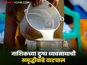 नाशिक जिल्हा दुग्ध व्यवसायात घेतोय समृद्ध भरारी; जिल्ह्यातून गुजरातला रोज अडीच लाख लिटर दूधाचा पुरवठा - Marathi News | Nashik district is taking a prosperous leap in the dairy industry; The district supplies 2.5 lakh liters of milk to Gujarat daily | Latest News at Lokmat.com नाशिक जिल्हा दुग्ध व्यवसायात घेतोय समृद्ध भरारी; जिल्ह्यातून गुजरातला रोज अडीच लाख लिटर दूधाचा पुरवठा - Marathi News | Nashik district is taking a prosperous leap in the dairy industry; The district supplies 2.5 lakh liters of milk to Gujarat daily | Latest News at Lokmat.com