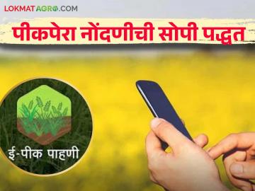 E-Pik Pahani : माझी शेती, माझा सातबारा; मीच नोंदविणार पीकपेरा - Marathi News | E-Pik Pahani: My farm, my seven-fold; I will record the crop and sowing | Latest News at Lokmat.com