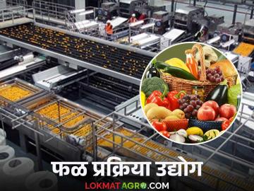 लोकसंख्येसोबत दिवसेंदिवस झपाट्याने वाढणाऱ्या फळ प्रक्रिया उद्योगात आहेत मोठ्या संधी; वाचा सविस्तर - Marathi News | There are huge opportunities in the fruit processing industry, which is growing rapidly with the population; Read in detail | Latest News at Lokmat.com
