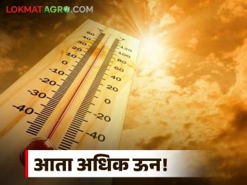 अधिक पाऊस, अधिक थंडी, आता अधिक ऊन! आरोग्यावर होऊ शकतो थेट परिणाम काळजी घ्या - Marathi News | More rain, more cold, now more sun! It can have direct effects on health, be careful | Latest News at Lokmat.com