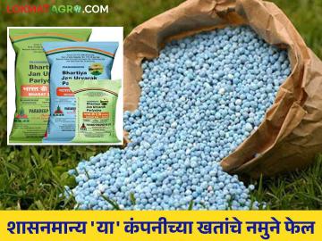 शासनमान्य कंपनीच्या खतांचे नमुने फेल; शेतकऱ्यांची झाली फसवणूक - Marathi News | Fertilizer samples from government approved companies fail; Farmers were cheated | Latest News at Lokmat.com