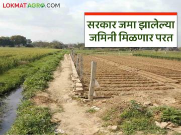 शासकीय थकबाकीपोटी लिलाव होऊन सरकारजमा झालेल्या जमिनी मूळ खातेदारांना परत केल्या जाणार - Marathi News | Lands auctioned for government arrears and deposited with the government will be returned to the original account holders. | Latest News at Lokmat.com