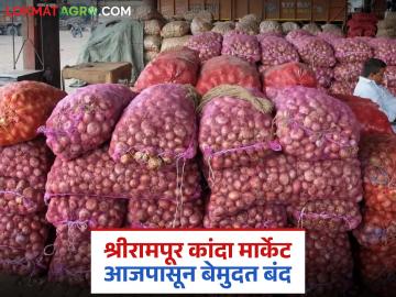 शेतकऱ्यांच्या अडवणुकीसाठी हमालांच्या वाराईचा मुद्दा ऐरणीवर; श्रीरामपूर कांदा मार्केट देखील आजपासून बंद - Marathi News | The issue of farmers' agitation against the attackers is on the agenda; Shrirampur onion market also closed from today | Latest News at Lokmat.com शेतकऱ्यांच्या अडवणुकीसाठी हमालांच्या वाराईचा मुद्दा ऐरणीवर; श्रीरामपूर कांदा मार्केट देखील आजपासून बंद - Marathi News | The issue of farmers' agitation against the attackers is on the agenda; Shrirampur onion market also closed from today | Latest News at Lokmat.com