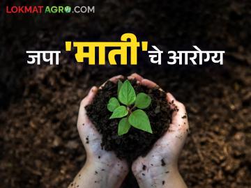 Save Soil Health : करूया राखण पोषक घटकांच्या मातीची; हमी मिळेल, सुरक्षित अन्न धान्यांसह भरभराटीच्या पिकांची - Marathi News | Save Soil Health: Let's maintain soil nutrients; Guaranteed, prosperous crops with safe food grains | Latest News at Lokmat.com Save Soil Health : करूया राखण पोषक घटकांच्या मातीची; हमी मिळेल, सुरक्षित अन्न धान्यांसह भरभराटीच्या पिकांची - Marathi News | Save Soil Health: Let's maintain soil nutrients; Guaranteed, prosperous crops with safe food grains | Latest News at Lokmat.com