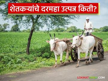 महाराष्ट्रातील शेतकऱ्यांचे दरमहा उत्पन्न शेत मंजुरांपेक्षाही कमी; कृषी राज्यमंत्र्यांची लोकसभेत माहिती - Marathi News | The monthly income of farmers in Maharashtra is less than the farm sanction; Minister of State for Agriculture informed the Lok Sabha | Latest News at Lokmat.com