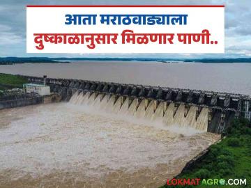 जायकवाडीसाठी दुष्काळाचा अंदाज घेऊन पाणी सोडणार; वाचा मराठवाड्यासाठी महत्वाचा असलेला 'हा' निर्णय - Marathi News | Water will be released for Jayakwadi after estimating drought; Read 'this' decision which is important for Marathwada | Latest News at Lokmat.com