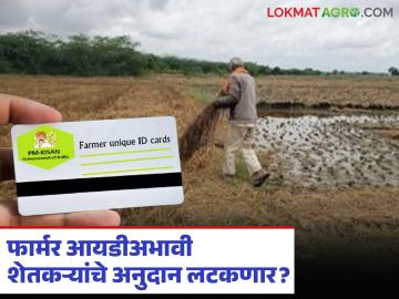 फार्मर आयडी नसल्यास लाभार्थी यादीमध्ये जाणार नाही नाव; अनुदानाची वाटच पाहावी लागणार - Marathi News | If you do not have a Farmer ID, your name will not be included in the beneficiary list; you will have to wait for the subsidy. | Latest News at Lokmat.com