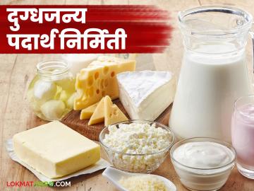 जाणून घ्या दुधापासून तयार होणार विविध दुग्धजन्य पदार्थ निर्मितीची सोपी प्रक्रिया - Marathi News | Learn the simple process of making various dairy products from milk. | Latest News at Lokmat.com