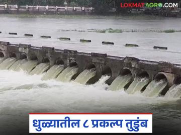 धुळ्यातील १२ पैकी ८ प्रकल्प झालेत तुडुंब; पांझरा नदीपात्रात पाण्याचा विसर्ग सुरूच - Marathi News | 8 out of 12 projects in Dhule have collapsed; Water discharge continues into the Panjra river basin | Latest News at Lokmat.com