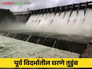 Vidarbha Dam Storage : पूर्व विदर्भातील धरणे भरली तुडुंब, तोतलाडोह, पेंच धोक्याच्या पातळीकडे  - Marathi News | Latest News Dams in East Vidarbha at 100 percent see totaladoh and pench dam storage | Latest News at Lokmat.com