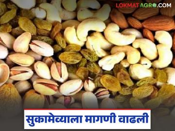 सुकामेवा बाजारात तेजी; ८०० रुपयांवर असलेले बदाम पोहोचले एक हजार रुपये प्रतिकिलोवर - Marathi News | Dry fruit market booms; Almonds, which were priced at Rs 800, have reached Rs 1,000 per kg | Latest News at Lokmat.com