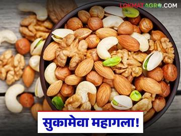 थंडीत ऊब देणाऱ्या डिंक लाडूसह सुकामेवा महागला; वाचा किती मिळतोय दर - Marathi News | Dry fruits including gum laddus, which provide warmth in the cold, have become expensive; Read how much they are getting | Latest News at Lokmat.com थंडीत ऊब देणाऱ्या डिंक लाडूसह सुकामेवा महागला; वाचा किती मिळतोय दर - Marathi News | Dry fruits including gum laddus, which provide warmth in the cold, have become expensive; Read how much they are getting | Latest News at Lokmat.com