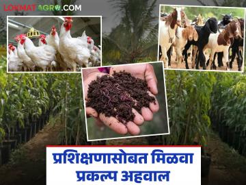 शेळीपालन, कुक्कुटपालन, रोपवाटिका आणि गांडूळ खत निर्मिती प्रशिक्षण; बरोबरच प्रकल्प अहवालही मिळणार - Marathi News | Training in goat farming, poultry farming, nursery and vermicompost production; along with project report will also be provided. | Latest News at Lokmat.com