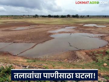 कवठेमहांकाळ तालुक्यातील तलावांचा पाणीसाठा घटला; उन्हाळ्याच्या पार्श्वभूमीवर पाण्याचे नियोजन गरजेचे - Marathi News | Water storage in lakes in Kavathe Mahankal taluka has decreased; Water planning is necessary in the backdrop of summer | Latest News at Lokmat.com