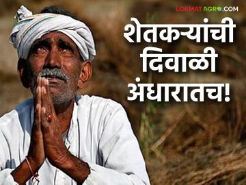मुख्यमंत्र्यांच्या आश्वासनाचा बार फुसका; शेतकऱ्यांची दिवाळी अंधारातच! खात्यात दमडीही झाली नाही जमा - Marathi News | The Chief Minister's promise has been shattered; Farmers' Diwali remains in darkness! Not even a penny has been deposited in their accounts | Latest News at Lokmat.com