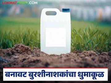 Fake Fungicides : बनावट बुरशीनाशक उत्पादन करणाऱ्यांवर कारवाई; चार लाखांचा मुद्देमाल जप्त - Marathi News | Fake Fungicides: Action taken against those producing fake fungicides; Goods worth four lakhs seized | Latest News at Lokmat.com