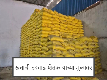 रब्बी पिकांचा खर्च वाढणार! खतांच्या दरवाढीमुळे शेतकऱ्यांचे आर्थिक गणित कोलमडले - Marathi News | The cost of Rabi crops will increase! The financial calculations of farmers have collapsed due to the increase in fertilizer prices. | Latest farming-ideas News at Lokmat.com