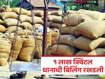 सात महिने उलटले तरी शासनाला जाग येईना; धान खरेदीच्या मर्यादेवरून बळीराजा हवालदिल - Marathi News | Even after seven months, the government has not woken up; Baliraja is in custody over the paddy purchase limit | Latest News at Lokmat.com