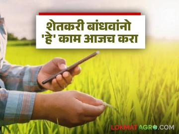 पणन महासंघामार्फत एमएसपी दराने होणार मूग, उडीद, सोयाबीन, तुरीची खरेदी; ई-पीक पाहणी मात्र गरजेची - Marathi News | Moong, urad, soybean, and turi will be purchased at MSP rates through the Marketing Federation; however, e-crop inspection is necessary | Latest News at Lokmat.com