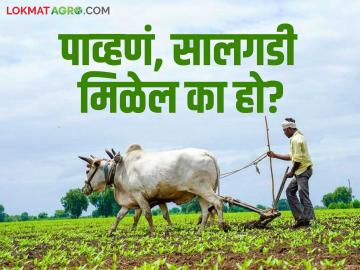 सालगड्यासाठी गावोगावी सुरू आहे शोधा शोध; मजुरांच्या वाढलेल्या अपेक्षांमुळे शेतकरी हैराण - Marathi News | Search and rescue operation underway in villages for Salgada; Farmers are shocked by the increased expectations of laborers | Latest News at Lokmat.com
