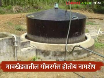Gobargas : पशुधनात घट झाल्याचा परिणाम; गोबर गॅसकडे दुर्लक्ष करत नागरिकांचा आधुनिक गॅसकडे कल - Marathi News | Gobargas : result of decline in livestock; Disregarding dung gas, citizens tend towards modern gas | Latest News at Lokmat.com
