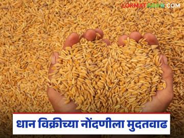 धान विक्रीसाठी नोंदणीला मिळाली मुदतवाढ; वाचा कधी पर्यंत करता येणार नोंदणी - Marathi News | Registration for paddy sale gets extension; Read till when can registration be done | Latest News at Lokmat.com