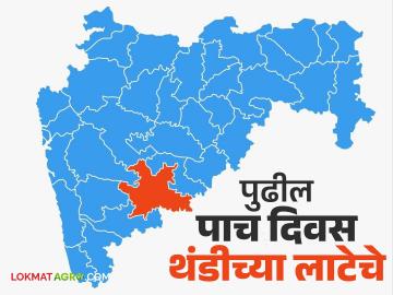 सोलापूरकरांनो पुढील पाच दिवस थंडीच्या लाटेचे; किमान तापमान राहणार १२ अंशांवर - Marathi News | Solapur residents to experience cold wave for next five days; minimum temperature to remain at 12 degrees | Latest weather News at Lokmat.com