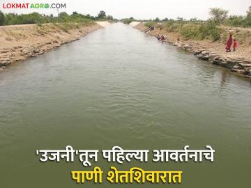 Ujjani Water Release : उजनीच्या पहिल्या आवर्तनाचे पाणी कॅनॉलद्वारे शेत शिवारात; ७२०० हेक्टरवरील पिकांना होणार फायदा - Marathi News | Ujjani Water Release: Water from the first cycle of Ujjani will flow to the fields through canals; Crops on 7200 hectares will benefit | Latest News at Lokmat.com