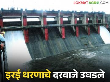 इरई धरणाची जलपातळी वाढली; दोन दरवाजे उघडले - Marathi News | Water level of Irai Dam increased; two gates opened | Latest News at Lokmat.com इरई धरणाची जलपातळी वाढली; दोन दरवाजे उघडले - Marathi News | Water level of Irai Dam increased; two gates opened | Latest News at Lokmat.com