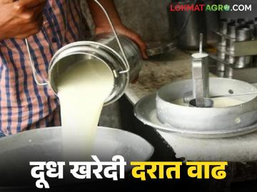 गोकुळने दूध खरेदी दर वाढविला; संस्थांकडून नविद यांचा सत्कार - Marathi News | Gokul increases milk purchase price; Navid felicitated by institutions | Latest News at Lokmat.com