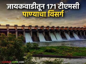 अहिल्यानगर आणि नाशिक जिल्ह्यातून पाण्याची मोठी आवक; जायकवाडीतून १७१ टीएमसी पाण्याचा विसर्ग - Marathi News | Large inflow of water from Ahilyanagar and Nashik districts; 171 TMC of water released from Jayakwadi | Latest News at Lokmat.com