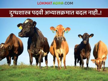 पशुसंवर्धन व दुग्धशास्त्र पदवी अभ्यासक्रमामध्ये पाचव्या अधिष्ठाता समितीचे विषय कायम राहणार का? वाचा काय झाला निर्णय - Marathi News | Will the subjects of the Fifth Dean's Committee remain in the Animal Husbandry and Dairy Science degree course? Read what was the decision | Latest News at Lokmat.com