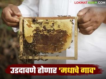 अकोले तालुक्यातील 'उडदावणे' होणार मधाचे गाव; अंमलबजावणी करण्याचे जिल्हाधिकाऱ्यांचे निर्देश - Marathi News | Honey village in Akole taluka to be 'destroyed'; District Collector orders implementation | Latest farming-ideas News at Lokmat.com