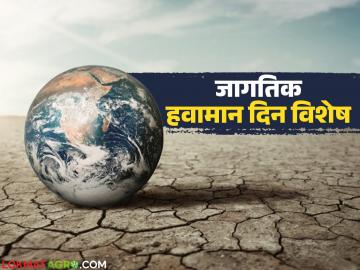 कमी पाऊस, दुष्काळी परिस्थिती, तापमान वाढ; आता एल-निनो सक्रिय होण्याची शक्यता - Marathi News | Less rain, drought conditions, rising temperatures; El-Nino likely to become active now | Latest News at Lokmat.com