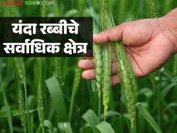 दशकात यंदा रब्बीचे सर्वाधिक क्षेत्र; पश्चिम विदर्भात सरासरीच्या ११५ टक्के पेरणी - Marathi News | Highest rabi area in a decade this year; 115 percent of average sowing in Western Vidarbha | Latest News at Lokmat.com दशकात यंदा रब्बीचे सर्वाधिक क्षेत्र; पश्चिम विदर्भात सरासरीच्या ११५ टक्के पेरणी - Marathi News | Highest rabi area in a decade this year; 115 percent of average sowing in Western Vidarbha | Latest News at Lokmat.com