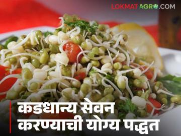 कडधान्य खाण्याची सुद्धा असते योग्य पद्धत! जाणून घ्या याच गुणकारी पद्धतीविषयी अधिक माहिती - Marathi News | There is also a right way to eat grains! Learn more about this beneficial method | Latest farming-ideas News at Lokmat.com