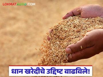 शेतकऱ्यांना मिळणार दिलासा; धान खरेदीचे उद्दिष्ट सहा लाख क्विंटलने वाढविले - Marathi News | Farmers will get relief; Paddy procurement target increased by six lakh quintals | Latest News at Lokmat.com