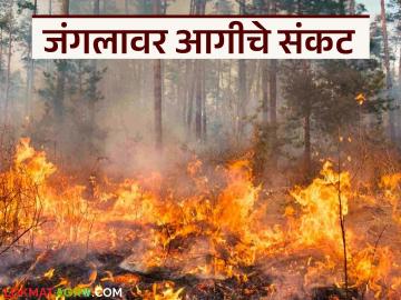 तेंदूपत्ता हंगामाच्या पार्श्वभूमीवर जंगलावर आगीचे संकट; वनविभाग आणि पर्यावरणप्रेमींची चिंता वाढली - Marathi News | Forest fire crisis in the backdrop of the tendu leaf season; Concerns of the forest department and environmentalists increased | Latest News at Lokmat.com तेंदूपत्ता हंगामाच्या पार्श्वभूमीवर जंगलावर आगीचे संकट; वनविभाग आणि पर्यावरणप्रेमींची चिंता वाढली - Marathi News | Forest fire crisis in the backdrop of the tendu leaf season; Concerns of the forest department and environmentalists increased | Latest News at Lokmat.com