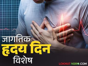 जागतिक हृदय दिन विशेष : हल्लीच्या धावपळीच्या युगात हृदय निरोगी ठेवण्यासाठी उपाय - Marathi News | World Heart Day Special: Tips to keep your heart healthy in today's fast-paced world | Latest News at Lokmat.com जागतिक हृदय दिन विशेष : हल्लीच्या धावपळीच्या युगात हृदय निरोगी ठेवण्यासाठी उपाय - Marathi News | World Heart Day Special: Tips to keep your heart healthy in today's fast-paced world | Latest News at Lokmat.com