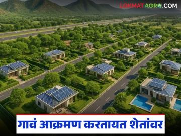 शेतं संपून गेली तर माणसं काय खातील? गावोगावी शेतांची भासतेय कमतरता, घरांची मात्र पडतेय भर - Marathi News | What will people eat if the fields shrink and disappear? There seems to be a shortage of fields in every village, but houses are being built. | Latest News at Lokmat.com