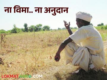 शेतकरी अनुदानापासून व विम्यापासून वंचितच; लोकप्रतिनिधी, कृषी विभागाने पाठपुरावा करण्याची गरज - Marathi News | Farmers are deprived of subsidies and insurance; People's representatives, Agriculture Department need to follow up | Latest News at Lokmat.com